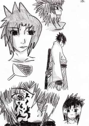 My life as a ninja !!!