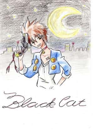 Black cat colo 2