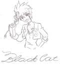 Black cat