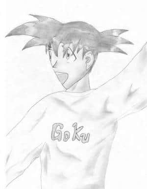 Goku mal anders