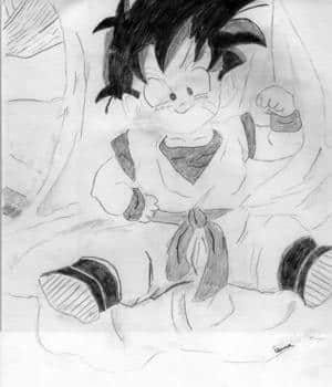 Gohan2