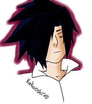 sasuke shippu