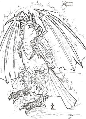 Drachen Phönix