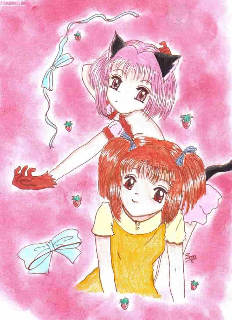 Ichigo und Mew Ichigo