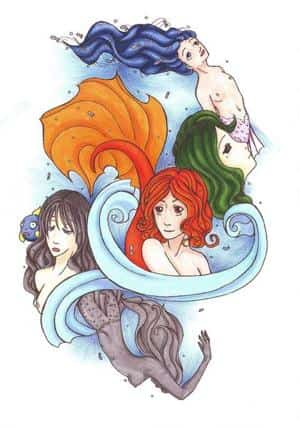 Schönheit der Meere