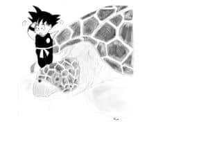 Son Goku and the turtle