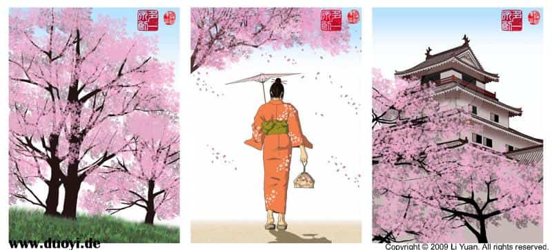 Kirschblüten und Kimono