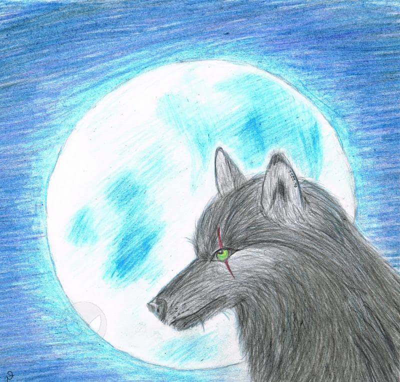 wolf moon