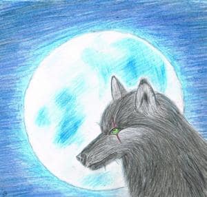 wolf moon