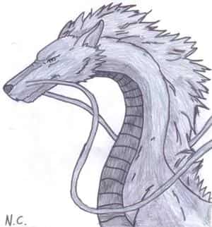 Drache Haku
