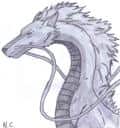 Drache Haku