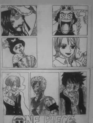 die strohhutbande....