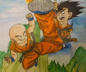 dragon ball son-goku & krillin