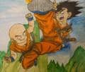 dragon ball son-goku &amp;amp; krillin