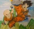 dragon ball son-goku &amp;amp; krillin