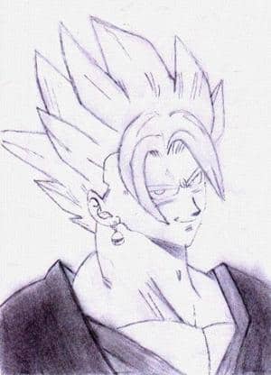 Vegetto