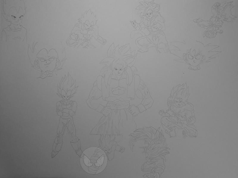 Vegetas und Gokus Entwicklung