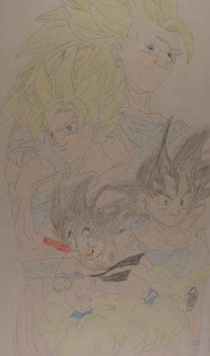 Son Goku´s evolution
