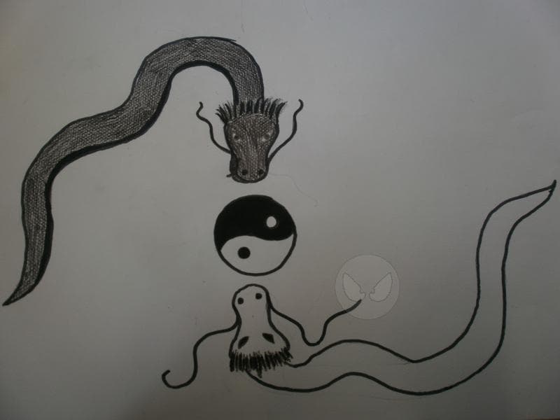 Zum Thema Yin und Yang XD