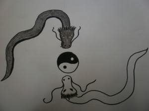 Zum Thema Yin und Yang XD