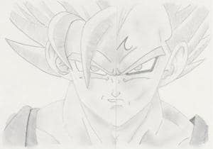 goku / vegeta