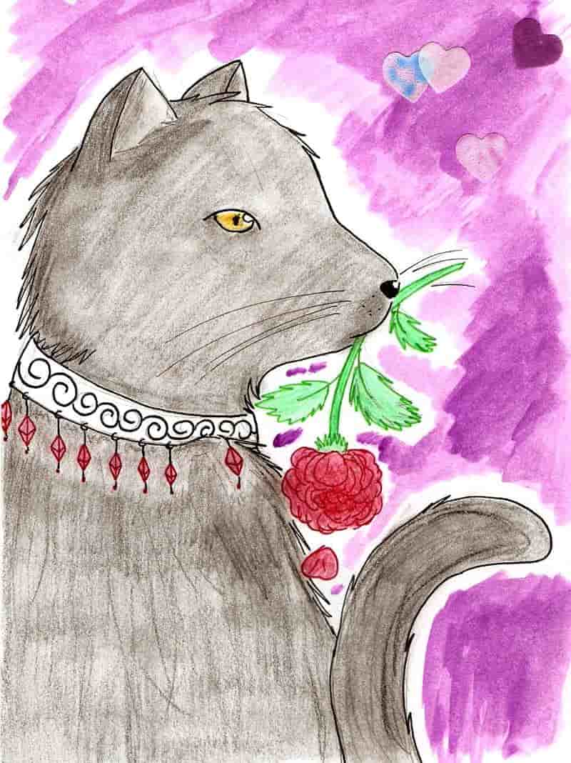 Für meinen Scherzkeks ♥