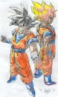 "Goku normal und Goku SSJ2"