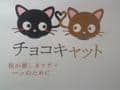 Choco cat ♥