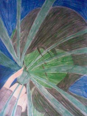 mhh mystiriöser typ