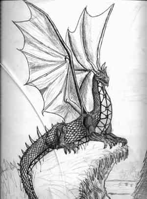 Dragon BITTE BEWERTEN