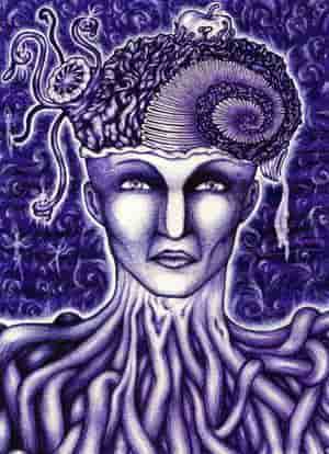 Die Herstellung von Feenstaub