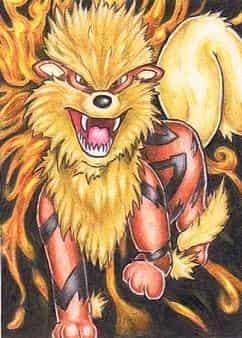 Arcanine on fire