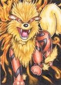Arcanine on fire