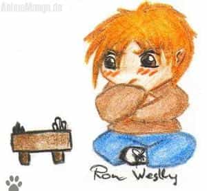 Chibi Ron