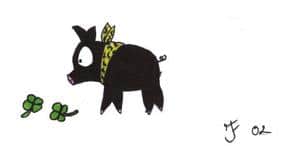 Mit P-Chan ins neue Jahr