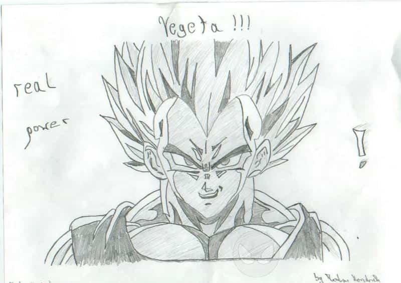 Vegeta von ssj-comix