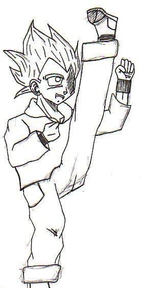 Vejita Karate Master