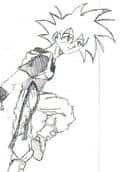 Goku in fly......