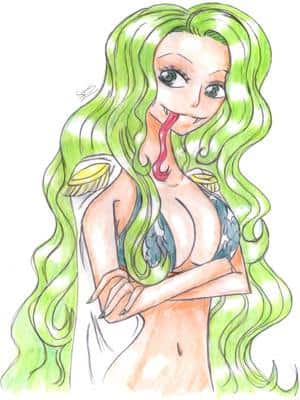 One Piece Boa Sandersonia