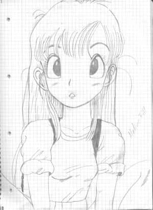 Bulma2