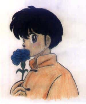 Blumen, die schönste Sprache der Welt...