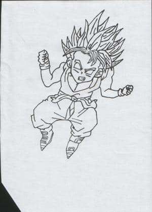 Trunks