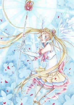 ***sailor moon***