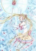 ***sailor moon***