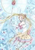 ***sailor moon***
