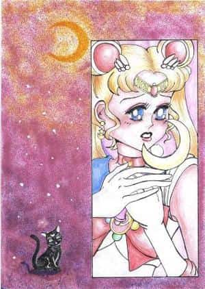 Sailor Moon [2006]