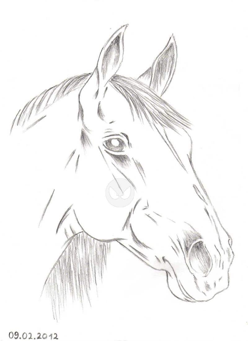 Pferd aus dem Kunstunterricht