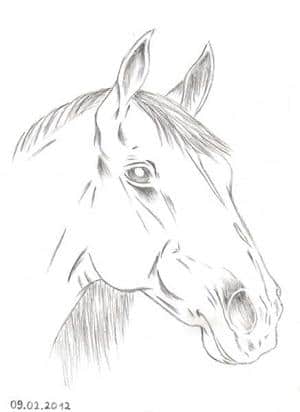 Pferd aus dem Kunstunterricht