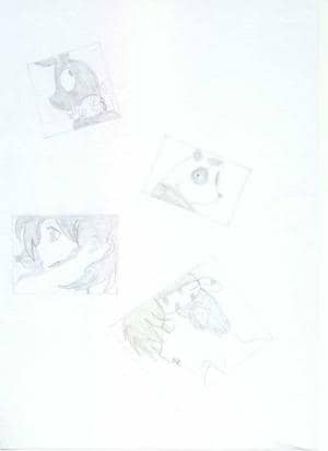 Ryoga, Akane, P-chan und Panda