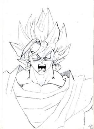 Vegetto SSJ (Bitte Bewerten !!!)